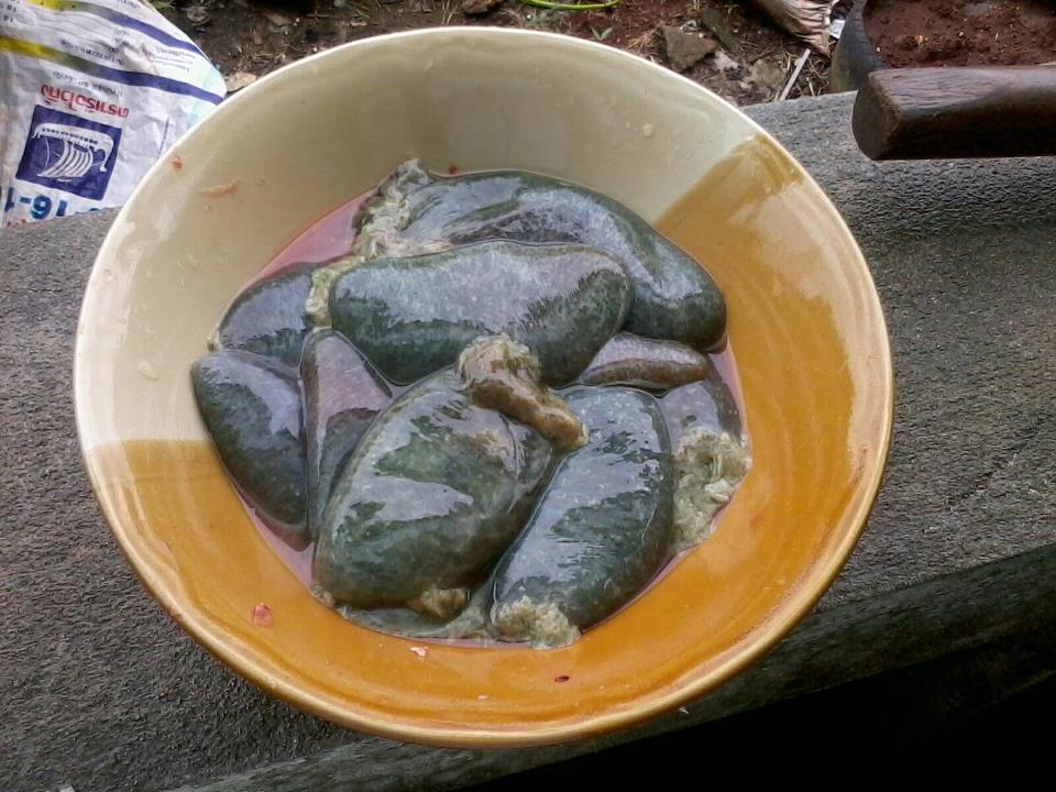 อ่อมท้องปลาสวาย