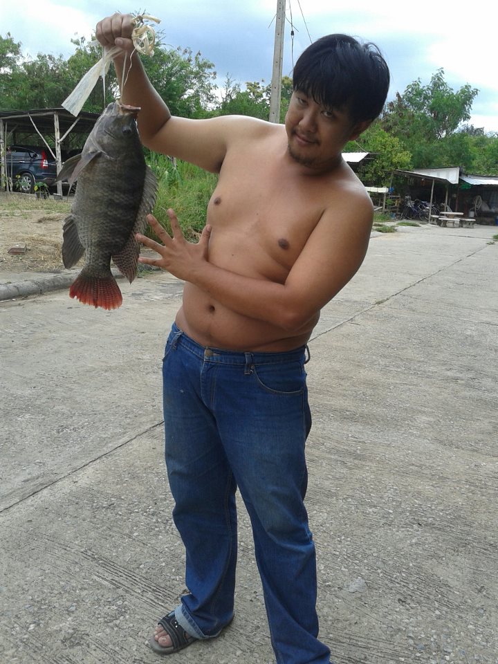 ได้ลูกปลานิลมาอีกแล้ว