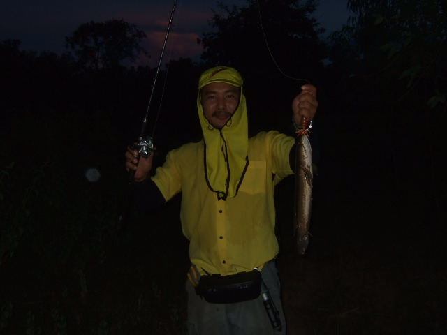IndY Angler 