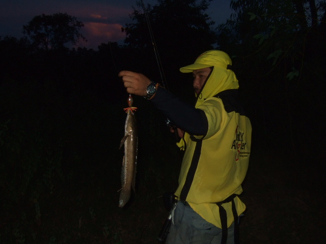 IndY Angler 