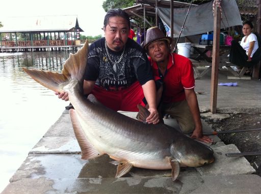 เงาน้ำ