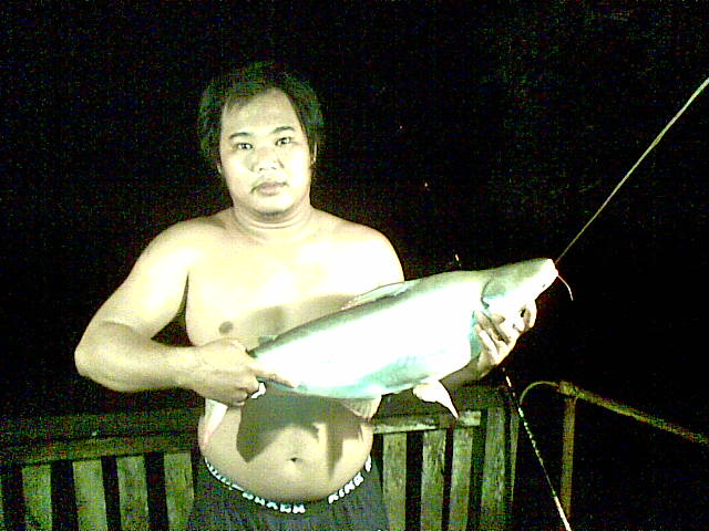 ปลาหน้าบ้าน