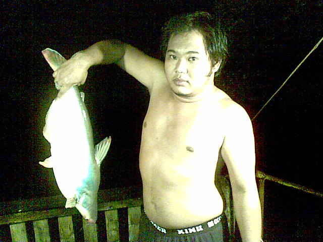 ปลาหน้าบ้าน