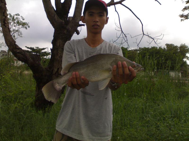 กระพงบ่อผม 2