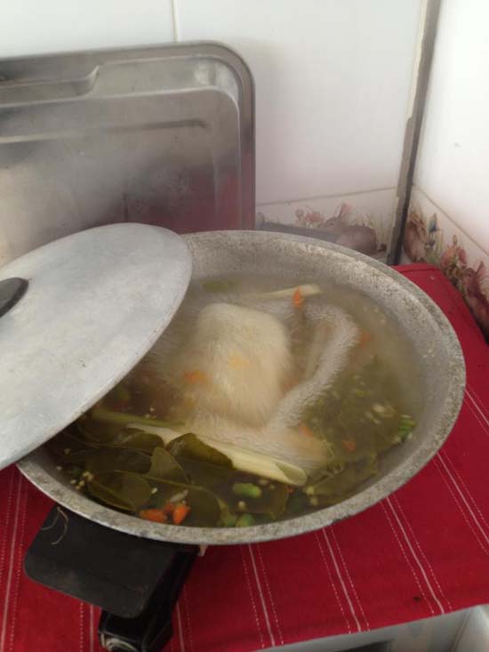 มันขึ้นมาบนถนน