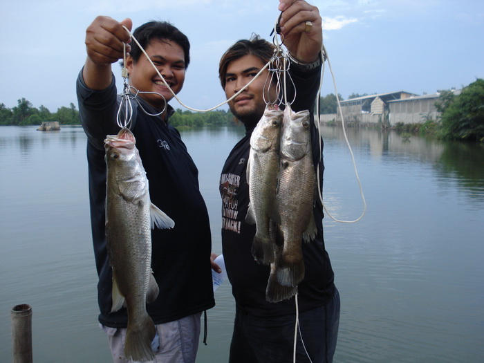 บึงใหญ่ 80 ไร่ 