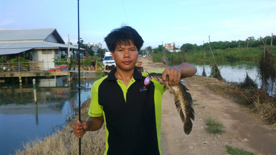 เช้าวันจันทร์ถึงเช้าวันอาทิตย์