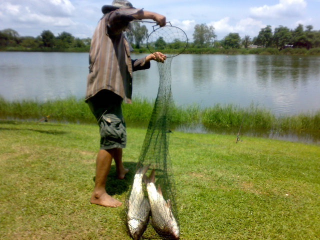 หลังฝน 