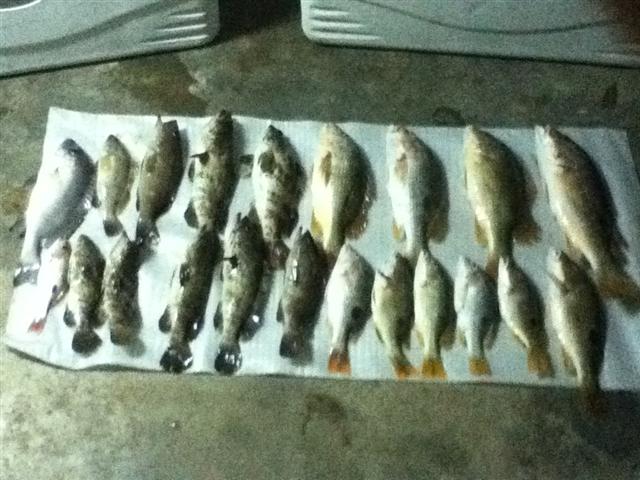 เทสเรือสงขลาปลาแกง ง ง