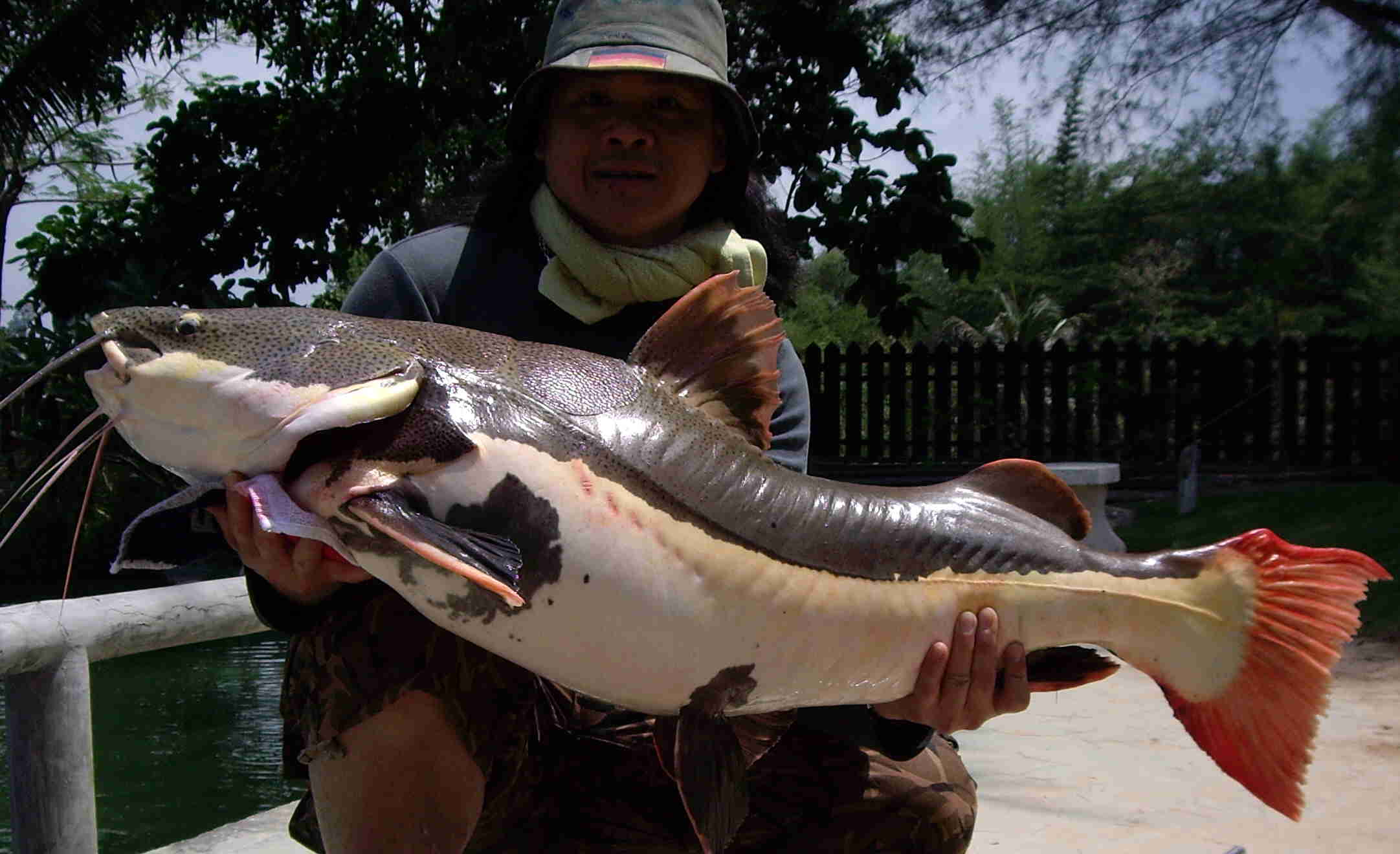 monster fishing may 2012