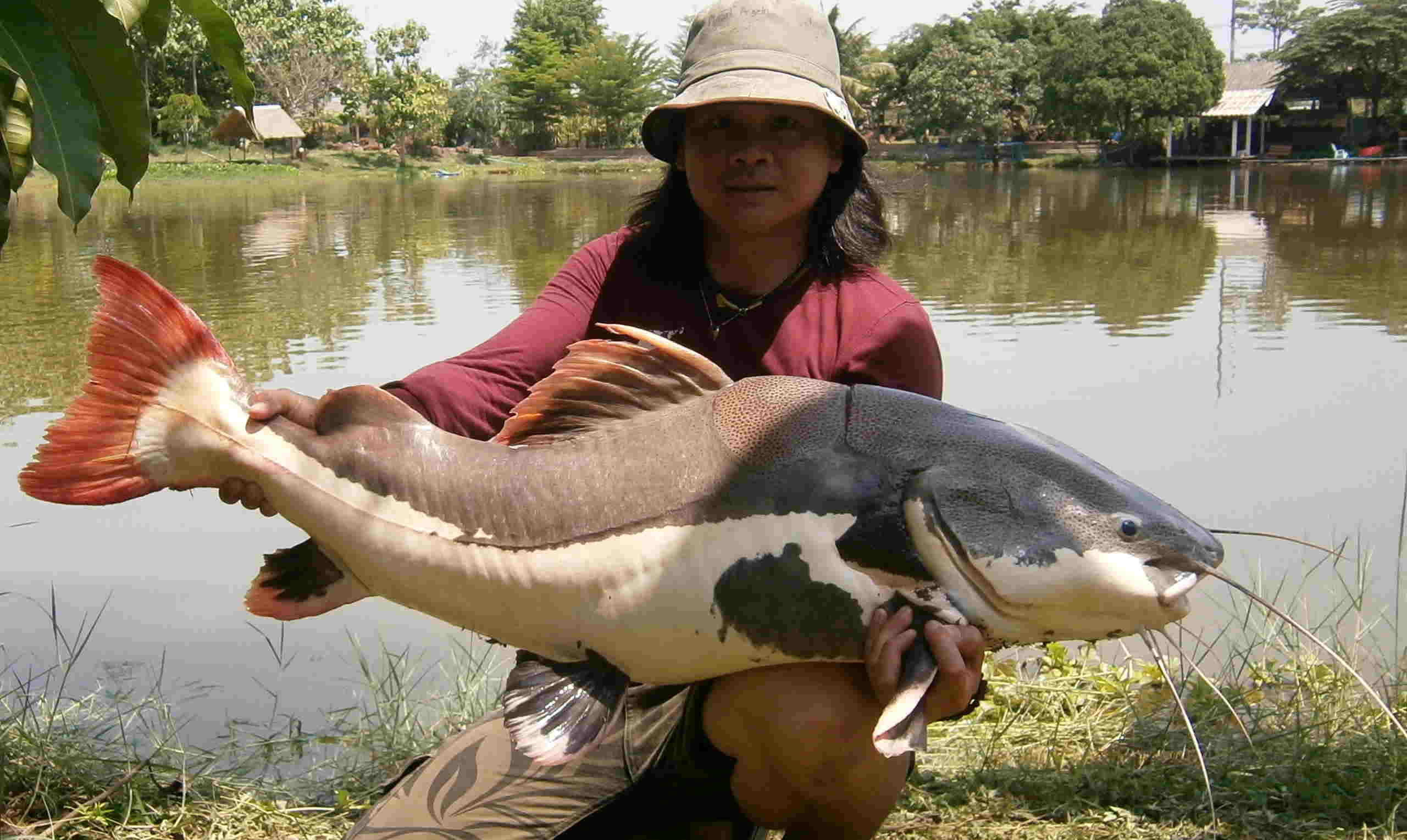 monster fishing may 2012