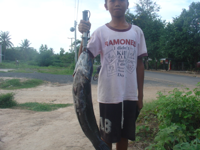 ชะโด อ.ภูสิงห์ จ.ศรีสะเกษ  
