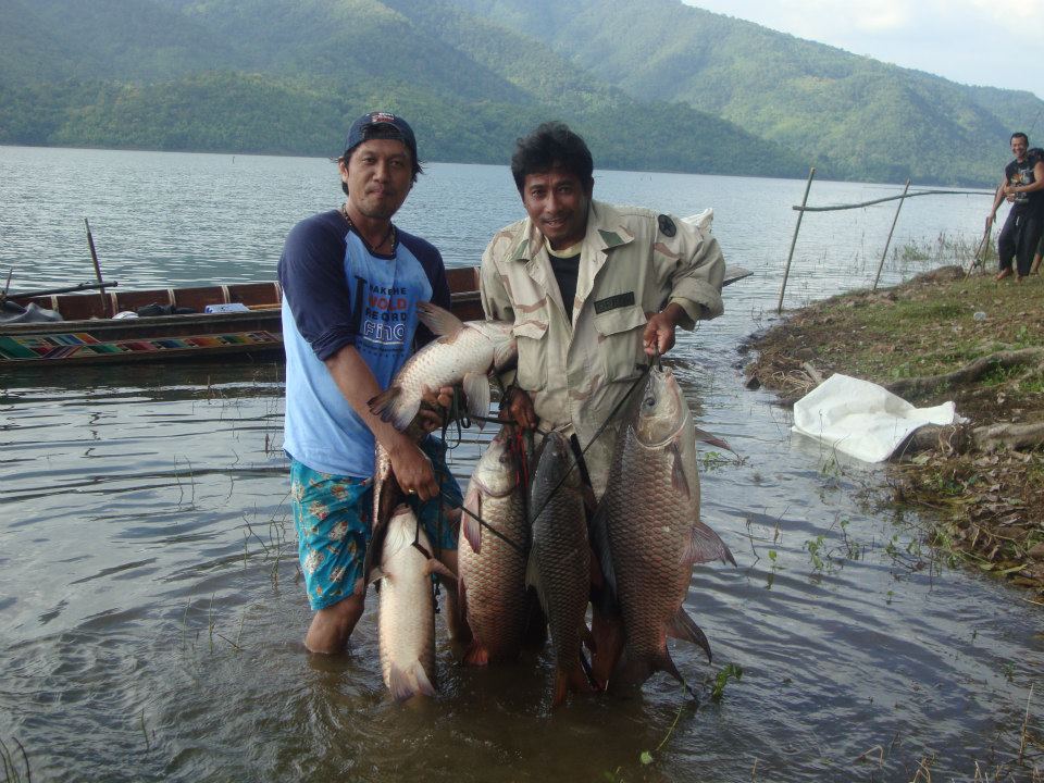 ตกปลานาสวน