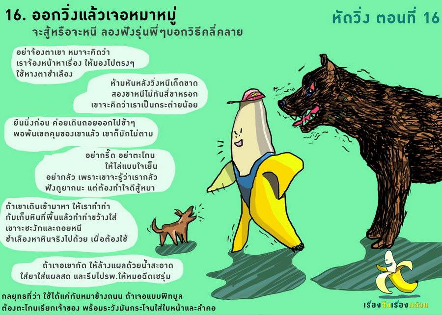  วิธีผึ่งรองเท้า, วิ่งเจอหมา