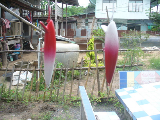 ลองทำมั่วๆ 