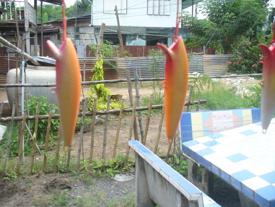 ลองทำมั่วๆ 