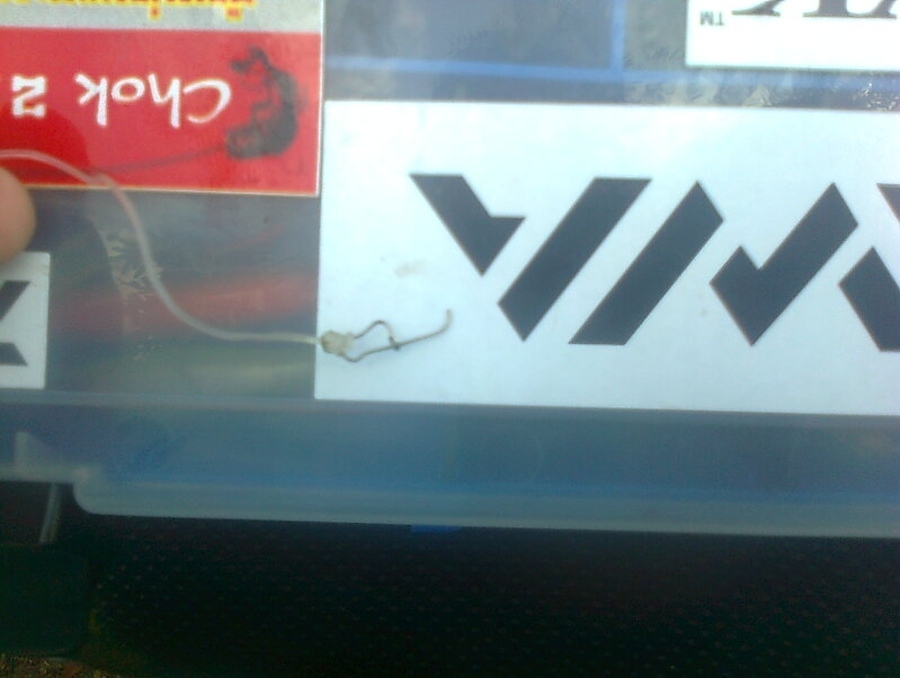 zz.. ไอ้..โด..กัดสนั่น...ที่..โคราช.. zz