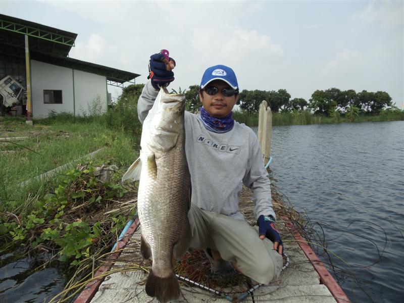 บ่อขุดหน้าดินแถวชานเมือง