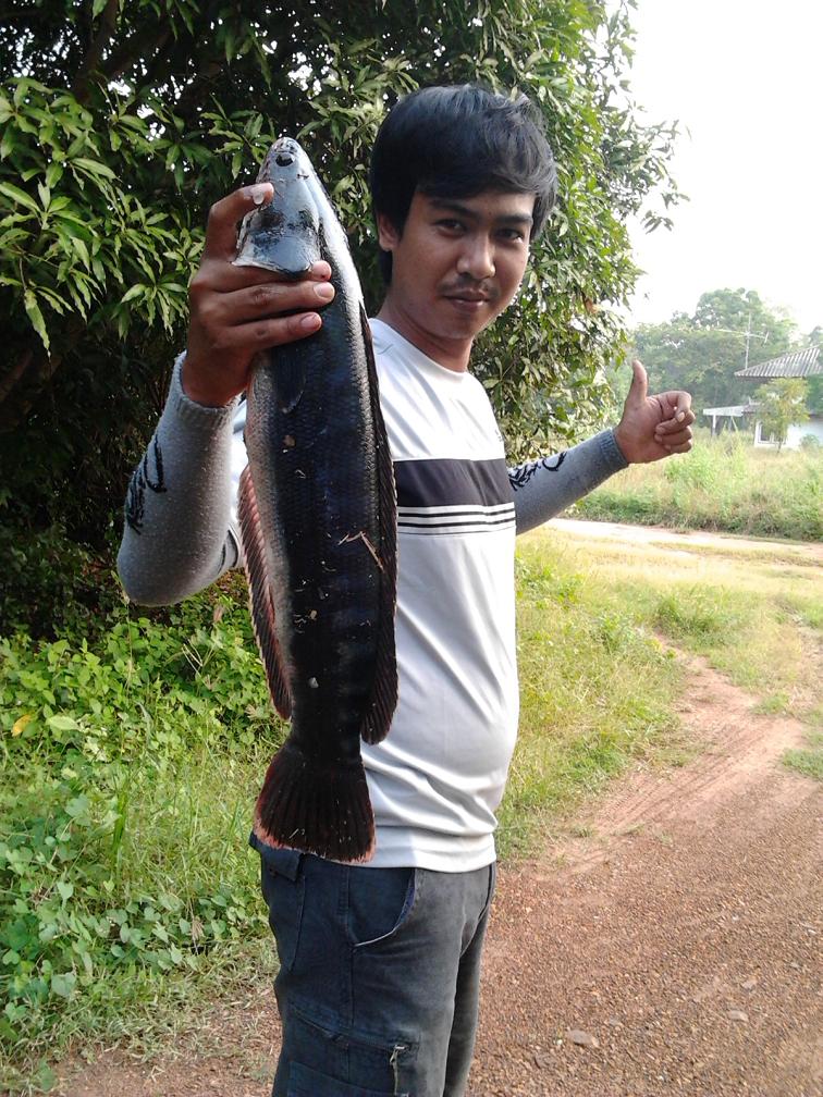......เมื่อวันเสาร์ที่ผ่านมา.......