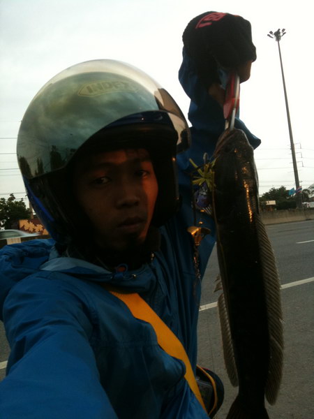 ของเขาดี จริงๆ ปลาเขี้ยวๆวิ้งเข้าใส่ ส่งการบ้านน้าก๋งครับ^^