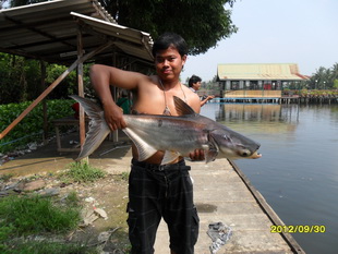 วันสบายๆที่บ่อเงาน้ำ