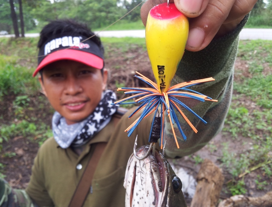 อาทิตย์ละวันกับ TA-LON ล่าช่อนข้างทาง (โดยทีมตะลอนฟิชชิ่ง)