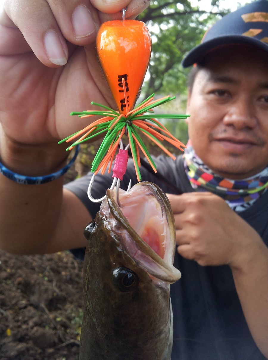 อาทิตย์ละวันกับ TA-LON ล่าช่อนข้างทาง (โดยทีมตะลอนฟิชชิ่ง)