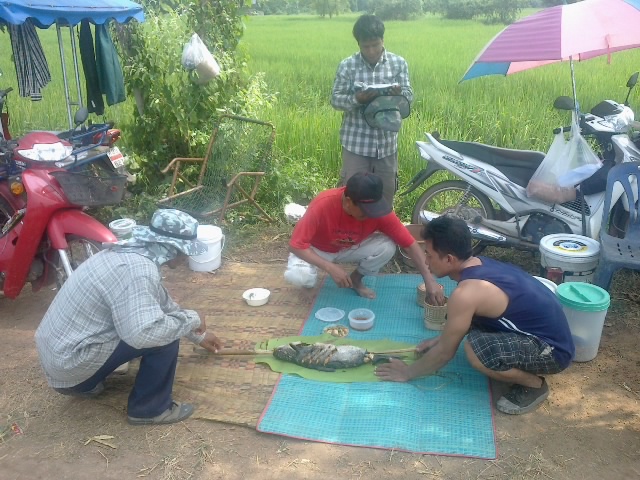 สุดท้ายที่หนองหวาย บ้านอุ่มเย็น  อ.ท่าบ่อ จ.หนองคาย