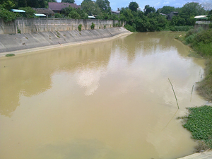 ตะเพียนคลองอู่ตะเภา หาดใหญ่