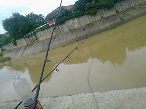 ตะเพียนคลองอู่ตะเภา หาดใหญ่