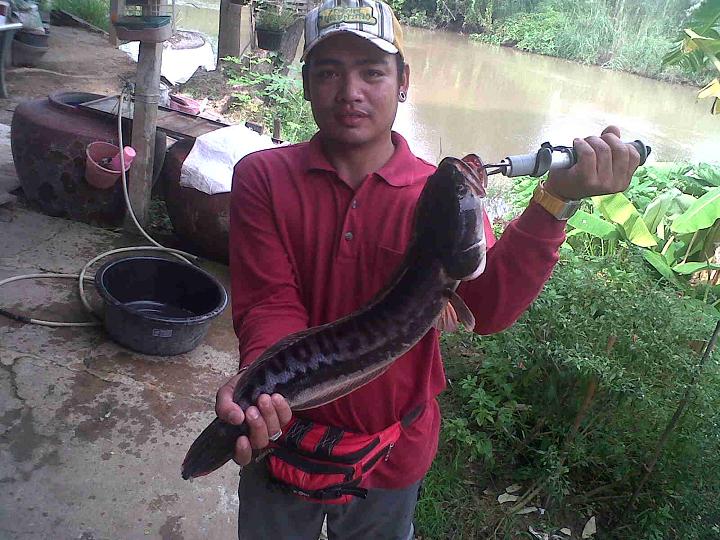 กัดมันล่ะเช้านี้