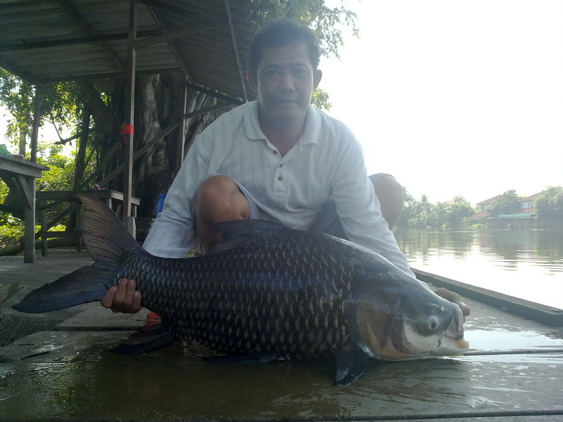 รูปเก่าที่เงาน้ำ