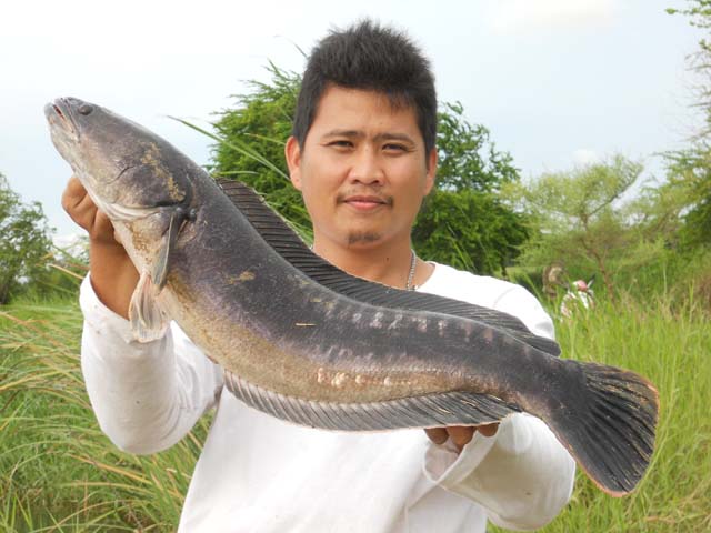 จิบเล็กๆ หมายปิดนครหลวง 2