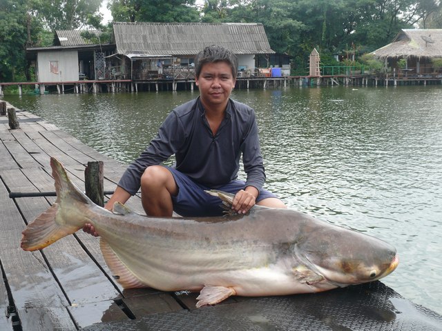 ปลุกความส่งจำ กันซักหน่อย