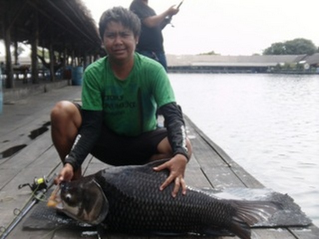 ปลุกความส่งจำ กันซักหน่อย