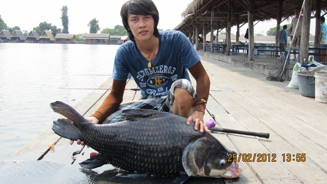 ปลุกความส่งจำ กันซักหน่อย