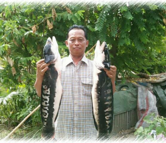 หลังเลิกงานกับคุณพ่อสุดเลิฟ