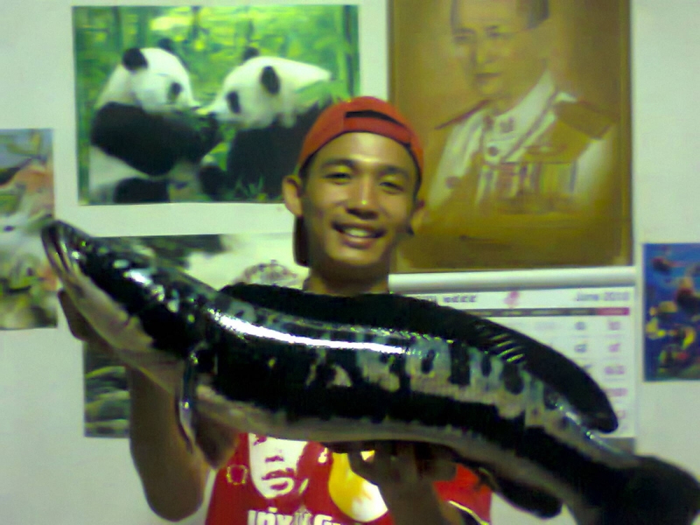 ตกปลาจนหน้าดำ