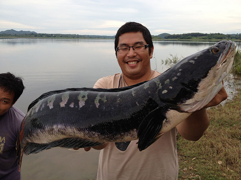 __________ เทสคัน Shimano Expride  ชะโด 13 โล