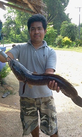 ควันหลงแม่น้ำแควใหญ่ หลังเขื่อนท่าทุ่งนา กาญจนบุรี