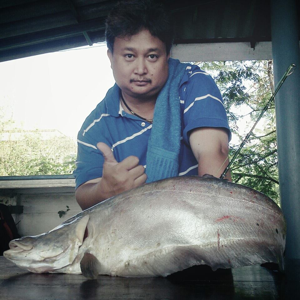 ปลากราย ปลาบึก