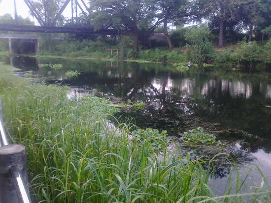 ฉ่องบางแก้วกับหมายสะพานดำ No.2