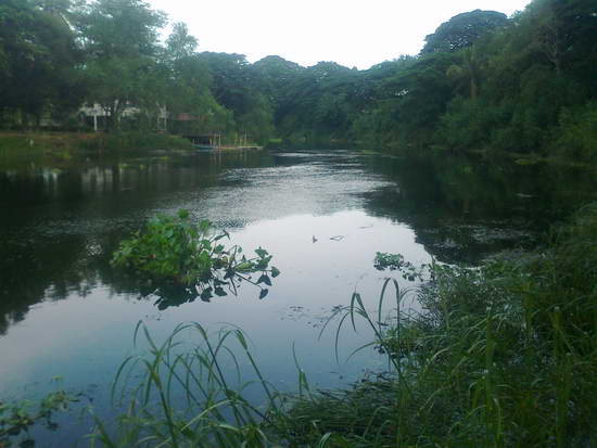 ฉ่องบางแก้วกับหมายสะพานดำ No.2