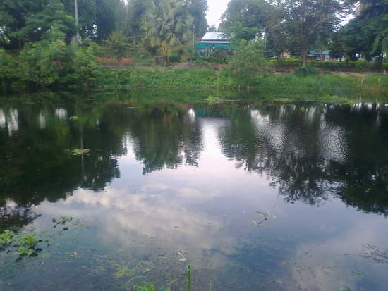ฉ่องบางแก้วกับหมายสะพานดำ No.2