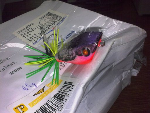 ควันหลง กบรักษ์โลก ของน้าบอย แห่งเมืองยโส.