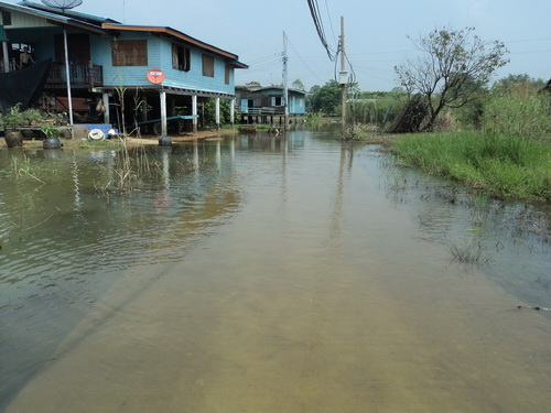 ตกปลาคลองหลังบ้าน สวาย+เทโพ อาทิตย์ละตัว