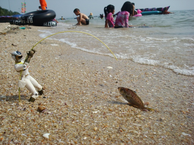 (test) ตกปลาริมชายหาดบางแสน 