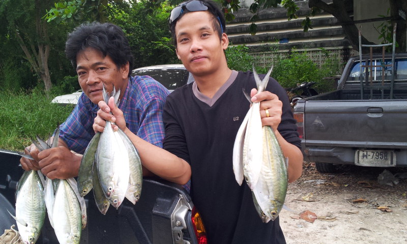 ลงเรือหาปลาเล็ก สีชัง
