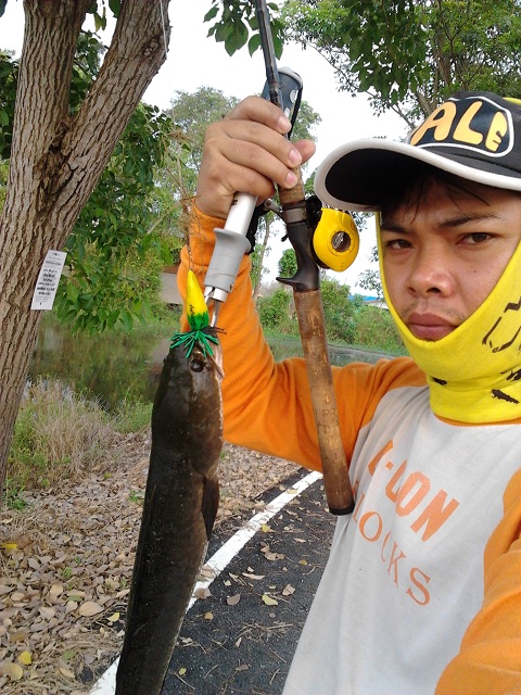 วันอาทิตย์แห่งชาติกับช่อนนายุดยา