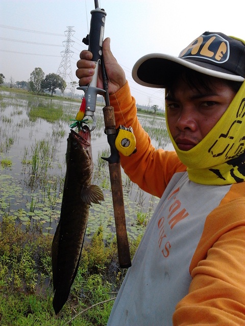 วันอาทิตย์แห่งชาติกับช่อนนายุดยา